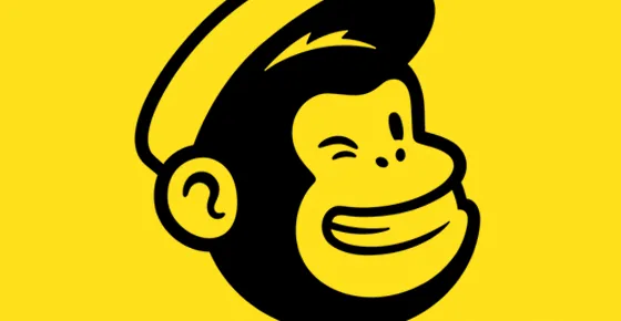 Wsi Imageoptim Mailchimp Logo 1 1